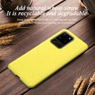 For Galaxy S20+ Starry Series Shockproof Straw Material + TPU Protective Case(Dark Green) - 2