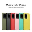 For Galaxy S20+ Starry Series Shockproof Straw Material + TPU Protective Case(Dark Green) - 7
