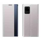 For Galaxy S20 Plus Side Display Magnetic Horizontal Flip Plain Texture Cloth + PC Case with Holder & Sleep / Wake-up Function(Silver) - 1