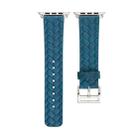 For Apple Watch Series 7 45mm / 6 & SE & 5 & 4 44mm / 3 & 2 & 1 42mm Braided Strap(Blue) - 1