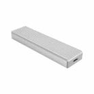 ORICO M2PJ NVME M.2 SSD Enclosure(Silver) - 1