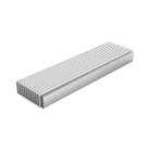 ORICO M2PJ NVME M.2 SSD Enclosure(Silver) - 2