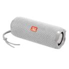 T&G TG191 10W Waterproof Bluetooth Speaker Stereo Double Diaphragm Subwoofer Portable Audio FM Radio(Gray) - 1