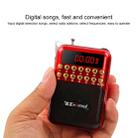 Portable Rechargeable FM Radio Receiver Speaker, Support USB / TF Card / Music MP3 Player(Red) - 5