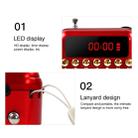 Portable Rechargeable FM Radio Receiver Speaker, Support USB / TF Card / Music MP3 Player(Red) - 6