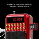 Portable Rechargeable FM Radio Receiver Speaker, Support USB / TF Card / Music MP3 Player(Red) - 8