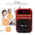 Portable Rechargeable FM Radio Receiver Speaker, Support USB / TF Card / Music MP3 Player(Red) - 9