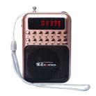 Portable Rechargeable FM Radio Receiver Speaker, Support USB / TF Card / Music MP3 Player(Gold) - 1