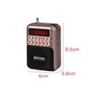 Portable Rechargeable FM Radio Receiver Speaker, Support USB / TF Card / Music MP3 Player(Gold) - 7