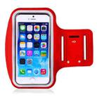 Sports Outdoor Arm Bag Fitness With Touch Screen Mobile Phone Arm Bag, Size: Large(Red) - 1