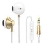 PTM D31 Hands Free Call Stereo Bass Earphones with Mic for Samsung / Xiaomi Phones(Gold) - 1