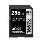 Lexar SD-1667x High Speed SD Card SLR Camera Memory Card, Capacity:256GB - 1
