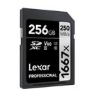 Lexar SD-1667x High Speed SD Card SLR Camera Memory Card, Capacity:256GB - 2