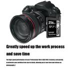 Lexar SD-1667x High Speed SD Card SLR Camera Memory Card, Capacity:256GB - 3