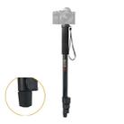 BEXIN P-264 Portable Mobile Phone SLR Camera Photography Monopod Holder Selfie Mount Alpenstock Pole - 1