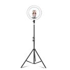 14 inch+Phone Clip Dimmable Color Temperature LED Ring Fill Light Live Broadcast Set With 2.1m Tripod Mount, CN Plug - 1