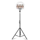 14 inch+3 Phone Clips Dimmable Color Temperature LED Ring Fill Light Live Broadcast Set With 2.1m Tripod Mount, CN Plug - 1