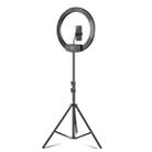 18 inch+ Phone Clip Dimmable Color Temperature LED Ring Fill Light Live Broadcast Set With 2.1m Tripod Mount, CN Plug - 1