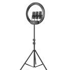 18 inch+3 Phone Clips Dimmable Color Temperature LED Ring Fill Light Live Broadcast Set With 2.1m Tripod Mount, CN Plug - 1