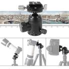 BEXIN 720 Degree Rotation Panoramic Aluminum Alloy Tripod Ball Head with Quick Release Plate - 7