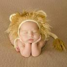 Newborn Photography Little Lion Wool Cartoon Hat and Tail Props For 0-2 Month(Hat + Tail) - 1