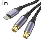 1m Gold Plated Type-C/USB-C Jack to 2 x RCA Female Stereo Audio Cable - 1