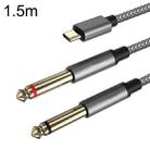 1.5m Gold Plated Type-C/USB-C Jack to 2 x 6.35mm Male Stereo Audio Cable - 1