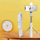 XT02SP Mini Bluetooth Live Tripod Selfie Stick(White) - 1