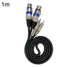 2RCA Male 2XLR Caron Female Speaker Audio Balance Cable, Length:0.5m - 1