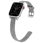Nylon Canvas Beaded Watch Band For Apple Watch Series  6&SE&5&4 40mm / 3&2&1 38mm( Gray) - 1