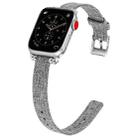 Nylon Canvas Beaded Watch Band For Apple Watch Series 6&SE&5&4 44mm / 3&2&1 42mm( Gray) - 1