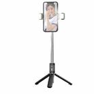 P60D-2 Fill Light Bluetooth Mobile Phone Selfie Stick(Black) - 1