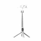 P60D-2 Fill Light Bluetooth Mobile Phone Selfie Stick(White) - 1