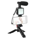 KIT-01LM 3 in 1 Video Shooting LED Light Portable Tripod Live Microphone, Specification:Battery Models - 1