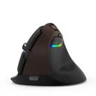 DELUX M618Mini Colorful Wireless Luminous Vertical Mouse Bluetooth Rechargeable Vertical Mouse(Elegant black) - 1
