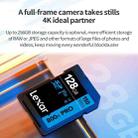 Lexar SD-800X Pro High Speed SD Card SLR Camera Memory Card, Capacity: 128GB - 6