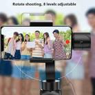 S5B Three-axis Handheld Gimbal Stabilizer Video Shooting Anti-shake Bracket for Mobile Phones Below 6.0 inches - 7