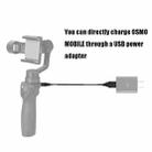 Rcgeek 3.5mm Jack to USB 2.0 Charging Cable for DJI OSMO Mobile, Length: 95cm - 6