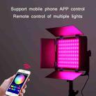 50W RGB Photography Fill Light For Live Broadcast Studio(AU Plug) - 4