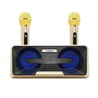 SDRD SD-301 2 in 1 Family KTV Portable Wireless Live Dual Microphone + Bluetooth Speaker(Gold) - 1