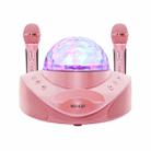 SDRD SD-308 2 in 1 Family KTV Portable Wireless Live Dual Microphone + Bluetooth Speaker(Pink) - 1