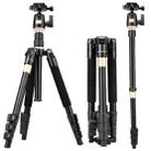 Q555 4-Section Folding Legs Aluminum Alloy Tripod Mount Monopod Holder with Ball Head - 1