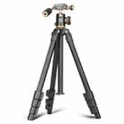 Q160s 4-Section Folding Legs Live Broadcast Aluminum Alloy Tripod Mount with Damping Tripod Ball-Head - 1