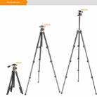 Q160s 4-Section Folding Legs Live Broadcast Aluminum Alloy Tripod Mount with Damping Tripod Ball-Head - 5