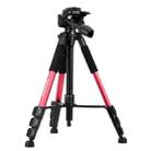 Q111 4-Section Folding Legs Live Broadcast Aluminum Alloy Tripod Mount with Three-dimensional Damping Tripod Heads(Red) - 1