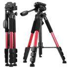 Q111 4-Section Folding Legs Live Broadcast Aluminum Alloy Tripod Mount with Three-dimensional Damping Tripod Heads(Red) - 2