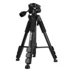 Q111 4-Section Folding Legs Live Broadcast Aluminum Alloy Tripod Mount with Three-dimensional Damping Tripod Heads(Black) - 1