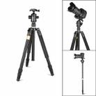 Q222 Portable 4-Section Folding Legs Aluminum Alloy Tripod Mount Monopod Holder with Ball Heads - 1