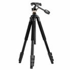 Q338 4-Section Folding Legs Live Broadcast Aluminum Alloy Tripod Mount With Three-dimensional Head - 1