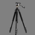 Q338 4-Section Folding Legs Live Broadcast Aluminum Alloy Tripod Mount With Three-dimensional Head - 2